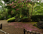 �뉀